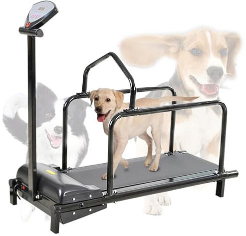 Adjustable Dog Treadmill for Large & Medium Breeds - Indoor Pet Exercise Machine with Display, Supports Up to 176 lbs, Speed 1-6 km/h for Healthy, Happy Dogs