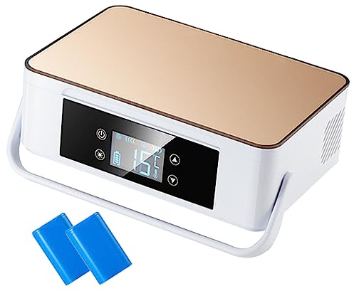 Mini borsa termica da viaggio per insulina, contenitore termico portatile per insulina con maniglia, mantiene la temperatura tra 2 e 8 °C per auto, viaggi e casa, 1 batteria, colore bianco.