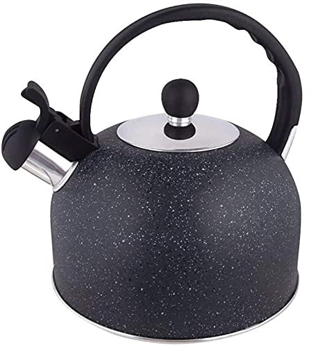 ENJY Bouilloire Bouilloire À Sifflante En Inox Induction 2.5L Théière En Acier Inoxydable Bec De Bouilloire À Grand Diamètre Poignée Ergonomique Pour Cuisinière Tous Feux