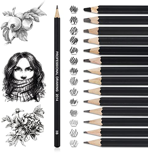 14 Pcs Drawing Pencils 12B, 10B, 8B, 7B, 6B, 5B, 4B, 3B, 2B, B, HB, 2H, 4H, 6H, Sketching Pencils with Graphite Lead