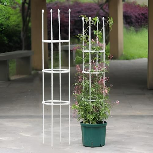 Jaulas de tomate blanco y enrejado de jardín, soportes para plantas trepadoras de interior y exterior, vegetales en maceta, frijoles rosales, 150 x 20 cm