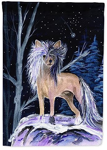 Caroline S Treasures Ss8390gf Nuit étoilée Drapeau Chinois à crête, Petite, Multicolore