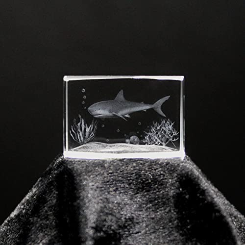 ERN Kristallglas Figur - Weißer Hai - 3D Laser Glas Skulptur | 30 x 45 x 30mm | Deko & Geschenkidee