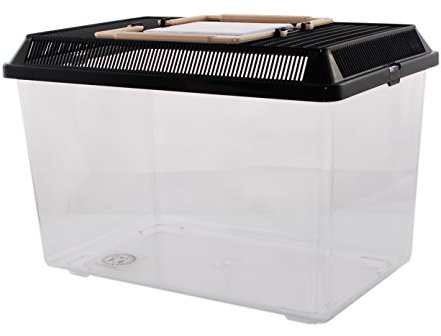 PET-Plaza Boîte en Plastique - Faunarium - Terrarium à Insectes - Terrarium en Plastique (30 x 19,5 x 21 cm)