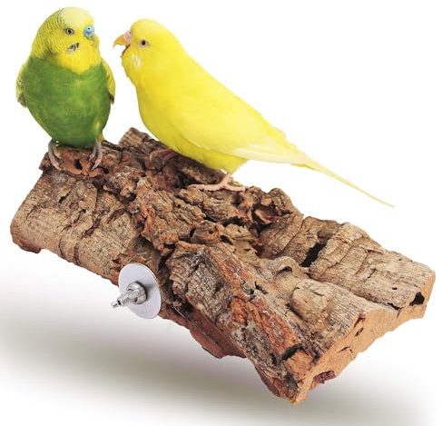 Vogelgaleria® Tolles Korksitzbrett groß für Vögel | Wellensittich Kork Sitzbrett 20x10 cm als perfektes Zubehör im Käfig | Kork Rinde ist EIN großartiges Spielzeug für Nymphensittich und Papagei