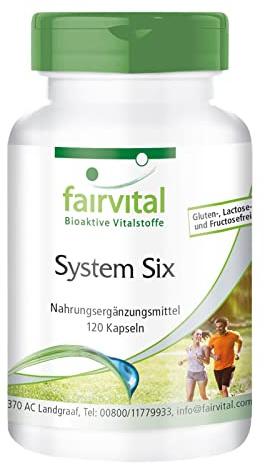 fairvital System Six, VEGAN, 120 Kapseln, mit Chrom, Jod, L-Carnitin, Grüner Tee, Spirulina, Garcinia Cambogia und mehr