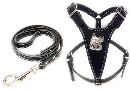 Schönes Hundegeschirr und Leine aus Leder mit französischer Bulldogge und passender Lederleine, Schwarz