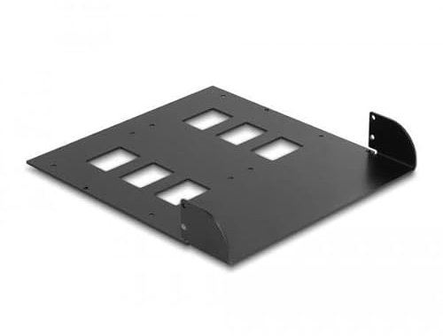 DeLOCK 5.25? Metall Einbaurahmen für 2 x Wechselrahmen 47011/47005