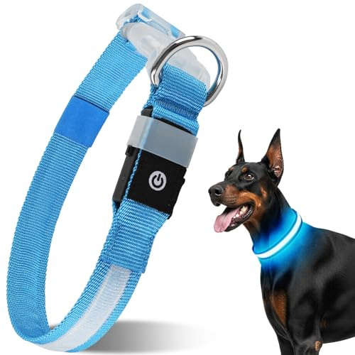 CAWJUG Leuchtende Hundehalsband, wiederaufladbar, blinkendes Hundehalsband, 3 Leuchtmodi, LED-Hundehalsband mit verstellbarem, weichem und luftigem Gurt für kleine bis große Hunde (Blau, L)