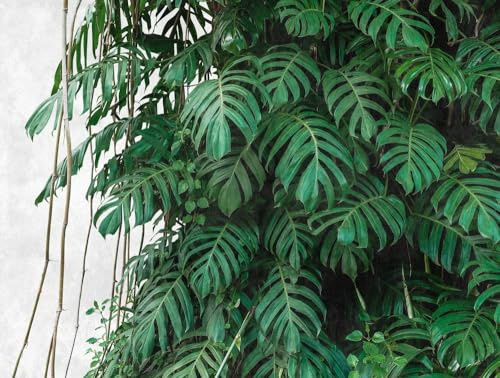 A.S. Création Livingwalls Vliestapete - Tapete Dschungel Palmenblätter in Grün und Grau - Wandtapete für verschiedene Räume - Wandbild XXL 3,71 m x 2,80 m