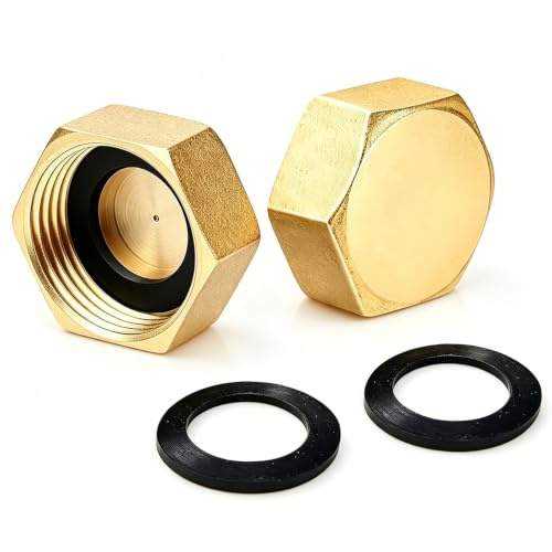 2 PCS 1/2 Inch Female Thread Brass Blanking Caps for Valve & Faucets Tap