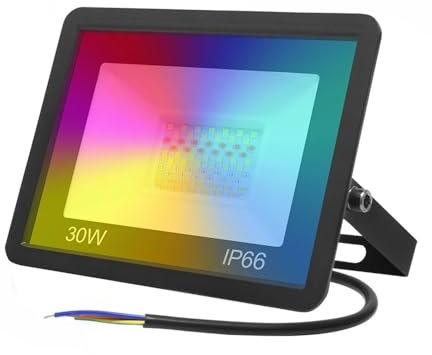 Proiettore LED WiFi 100W 50W 30W Proiettori RGB intelligenti Luci da giardino for esterni 220V RGBW RGBWW Faretto Funziona con Alexa(100W)