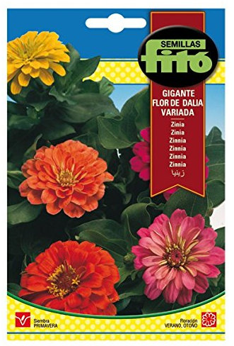 Semillas Fitó 607 - Semillas de Zinia Gigante Flor de Dalia Variada