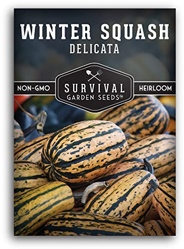 Delicata Winter Squash Seeds for Planting - Heirloom Non GMO Vegetable Seed - Easy to Grow, High Yield Compact Vining Vegetables - Survival Garden Seeds (1 Pack)