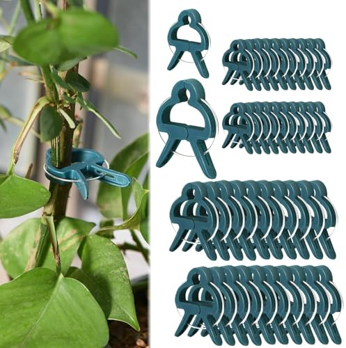 JAONLD Pflanzenclips Pflanzenklammern 40 Stücke Wiederverwendbare Tomatenhaken Klammern für Pflanzen Pflanzenstützclip für Kletterpflanzen Rankhilfe für Unterstützen und Halten Garten (Gemischt)