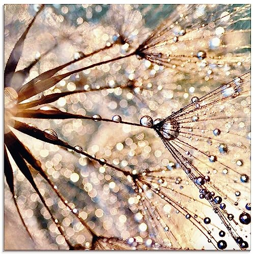 ARTLAND Wanddeko Glasbilder Wandbild Glas Bild einteilig Quadratisch Innere Ruhe Wellness Abstrakt Pflanzen Blumen Pusteblume Dandelion Regen Tau Tropfen S8WZ