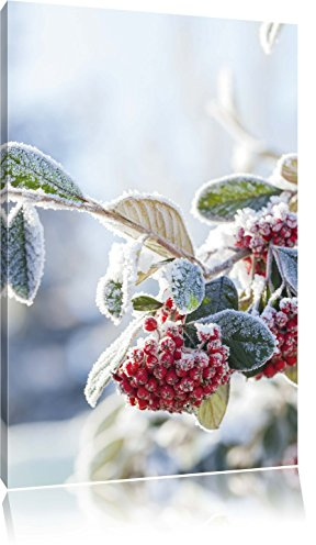 Pixxprint Vogelbeeren im Winter, Größe: 60x40cm, Leinwandbild, fertig gespannt, Wandbild, Dekoration, Kunstdruck, kein Poster