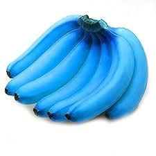 Generic Fresh 100 pcs Banana Fruit Seeds for Planting Blue