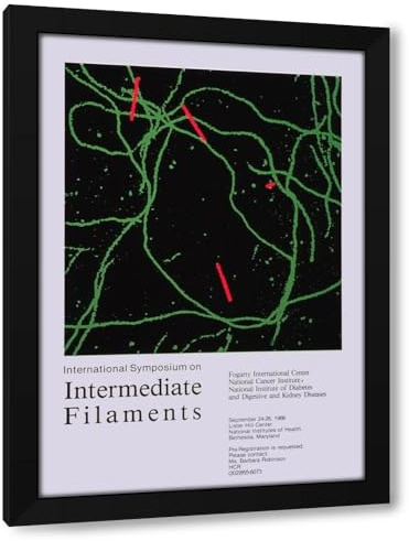 National Institutes Of Health 18x24 Black Modern Framed Art Print Titled: International Symposium on Intermediate Filaments (1986)