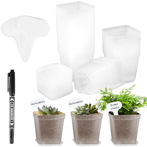 fengxuanwl Lot de 30 pots de culture, transparents, avec soucoupe, en plastique, diamètre : 7 cm, mini pots carrés, pour semences, plantes succulentes, semis, blancs
