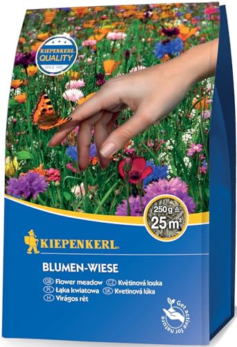 Kiepenkerl Blumen-Wiese 0,25 kg - Artenreiche Blumen-Wiesen Samen, Pflegeleichte Wildblumenwiese für Garten & Rasen, Profi-Line Rasensamen