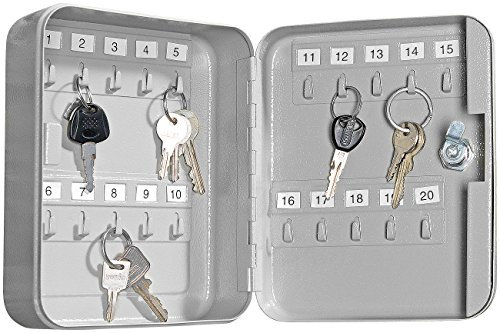 Xcase Schlüsselkasten Metall: Stahl-Schlüsselschrank für 20 Schlüssel mit 2 Sicherheitsschlüsseln (Notfall Schlüsselkasten, Kleiner, Schlüsselbrett)