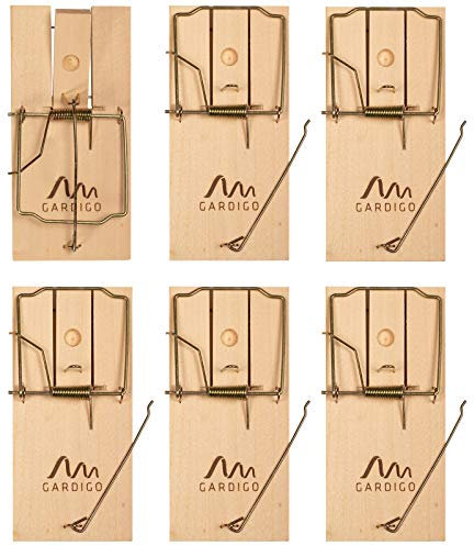 GARDIGO® Rattenfalle Holz - 6er Set I Verfügt über praktisches Köderloch für Rattenköder I Holz-Rattenfalle für Haus und Garten I Wiederverwendbar und Umweltfreundlich I Einfache Handhabung
