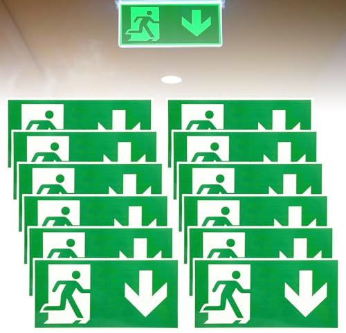 12 Pezzi Cartelli Uscita di Emergenza, 30 x 15cm Segnale Cartello Uscita di Emergenza verso il basso, Uscita di Emergenza Cartello, Segnale Via di Fuga Adesivo in Alluminio per Esterno e Interno