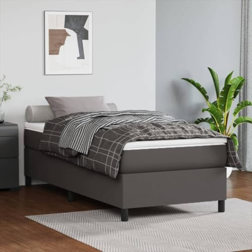 Iiaky Boxspringbett mit Matratze Grau 100x200 cm Kunstleder Bett Mit Bettkasten Bett Boxspringbett Betten Boxspringbett Mit Matratzeer // 3144594