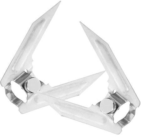 Alipis Set di 2 forchette per arrostire per barbecue, arrostire, forchette da carne, forchette da pollo, accessori da cucina, accessori per forno in acciaio inossidabile