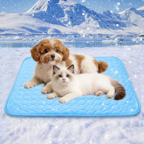 Tapis rafraichissant chien 70x55cm en polyester de haute qualité confortable et non toxique tapis rafraichissant pour chien facile à nettoyer et pliable cooling mat dog pour intérieur extérieur auto