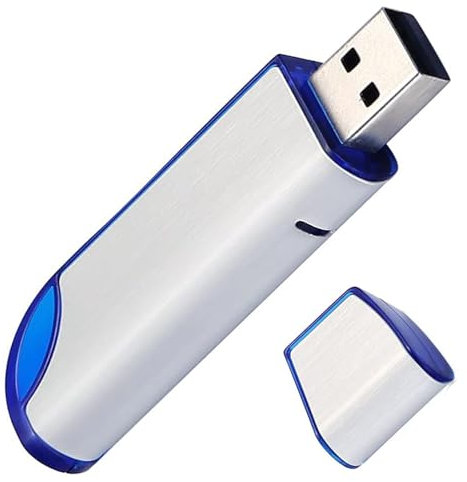 FAT32 USB Stick, BlumWay 32G USB C Drive USB 2.0 Flash Drives Memory Stick Storage Thumb Drive for Game Capture Card/Cassette Player/Computer/Laptop External Data Storage of Photo/Video Backup