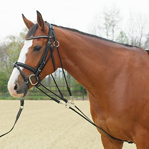 Busse