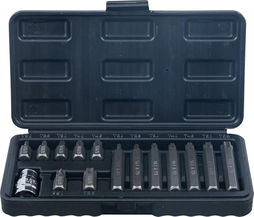 BGS Diy 5040 | Bit-Satz | T-Profil (für Torx) | 15-tlg. | Antrieb Außensechskant 10 mm (3/8) | Chrom-Vanadium-Stahl | kurze und lange Spezial-Bits | Adapter 12,5 mm (1/2)