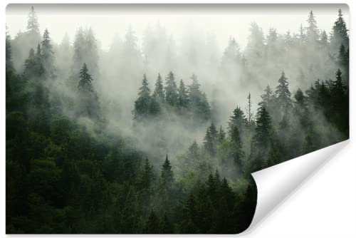 Muralo WTD - Carta da parati fotografica, motivo: foresta nella nebbia, alberi, verde, naturale, soggiorno, camera da letto, sala da pranzo, XXL, paesaggio panoramico, decorazione da parete (bianco,
