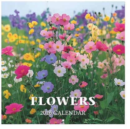 Blumen Schreibtisch Kalender,Wandkalender 2026 | Monatsplaner Für Organisation Zuhause Büro Schule Reisen