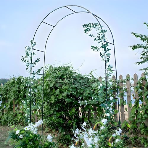 Arche de jardin en métal pour rosiers grimpants avec structure de support et base de treillage - Décoration de pergola d'extérieur (vert, 280 x 230 cm)
