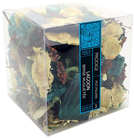 POT-POURRI boite - ACCORD CELESTE (Oriental gourmand)