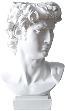 David Statue - Resin Statue Planter | Greek Head Planter Flower Vase | Ancient Greek Sculpture Home Decor | Art Sculpture Gift for Living Room, Shelf, Table