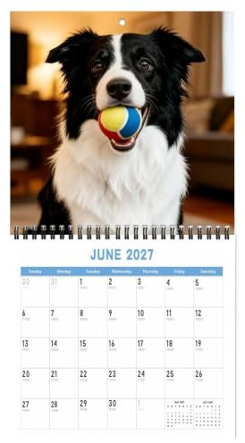 2027 Års Kalender Söt, och rolig planeringskalender med | 12-Månaders Kalender För såväl hundälskaren familjen, kontoret, skolan och