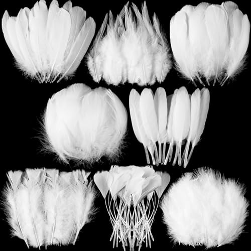 MARFOREVER Weiß Federn zum Basteln, 320 Stück Natur Bastelfedern Deko für Traumfänger Basteln 8 Stile Federn für Hochzeit Faschingskostüme Engelsflügel Halloween Masken Ostern DIY Crafts Feather