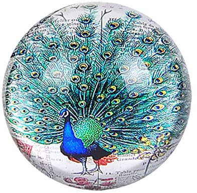 Kristallkugel grüner Pfau Halbkugel Glaskugel Briefbeschwerer Heimdekoration Ornamente Kugel Miniatur kreative Geschenke