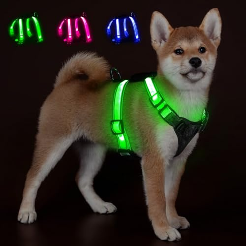 KOSKILL LED Hundegeschirr mit Akku-Anzeige, USB-C Aufladbar, RGB Leuchthalsband (Blau Grün Rosa) frei wählbar, 3 Modi, Reflektierend für Nachtspaziergang Sicherheit, Kleine Hunde Welpen Katzen S