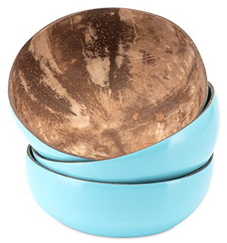 Decorasian Lot de 3 bols en noix de coco véritable - Bol en noix de coco - Intérieur poli - Extérieur laqué décoratif - Bleu