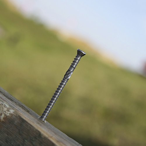 Générique - Vite legno duro testa fresata bomba impronta 6 lobi o torx per terrazza-inox aisi 410 - Ø mm.5 - Lungo. mm.60 - Cond..200 -