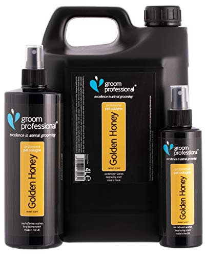 Groom Professional Golden Honey Hundeparfüm - Hundeparfüm-Spray - Frisches Duftspray für Hunde Gegen Geruch - Haustier-Köln mit süßem Honigduft - Perfekt für Zwischen den Waschgängen, 100ml