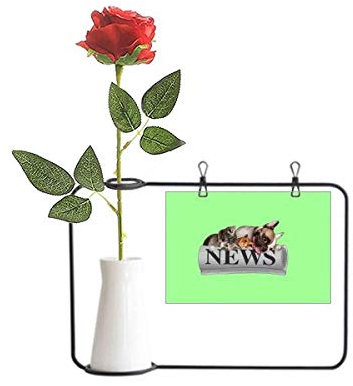 OFFbb-USA Rollo Periódico Mascotas Grupo Art Deco Regalo Moda Artificial Rosa Flor Colgando Jarrones Decoración Botella