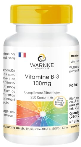Vitamine B3 100mg - 250 comprimés - 100mg de vitamine B3 niacine par comprimé - Nicotinamide - HAUTEMENT DOSÉ - Qualité pharmaceutique allemande - Vegan | Warnke Vitalstoffe