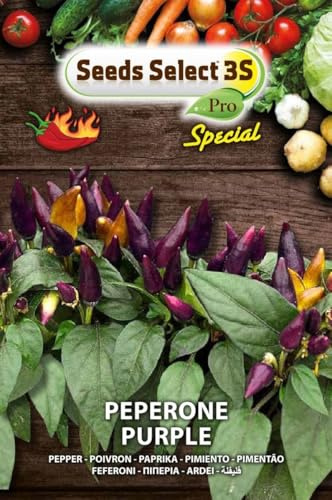 SEEDS SELECT PRO Semi di Peperone Piccante Viola Purple, Bustina da 500 Grammi, Uso Esterno