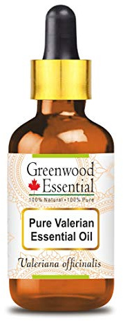 Greenwood Essential Pure Valerian Essential Oil (Valeriana officinalis) with Glass Dropper Steam Distilled 50ml (1.69 oz)